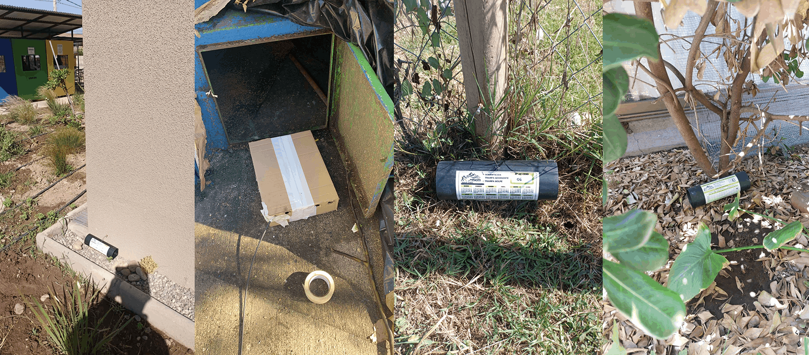 Control de plagas Agrovpatagonia